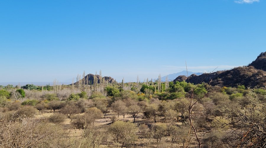 ruinas-de-el-shincal (4)